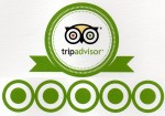 tripadvisor