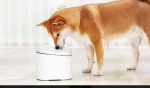 Xiaomi Smart Pet Feeder